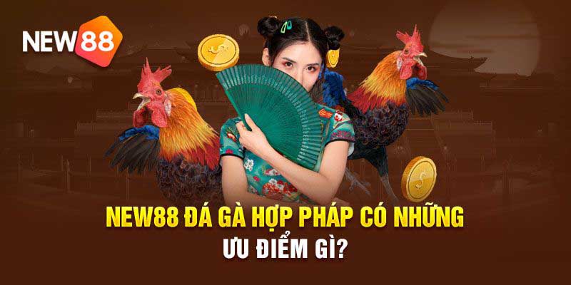 Bí quyết chiến thắng tại sới gà new88 - Chia sẻ từ cao thủ