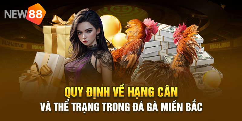 Lựa chọn kèo cược đá gà phù hợp để tăng cơ hội chiến thắng