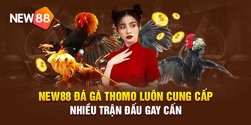 Khái quát đá gà tại sân game 